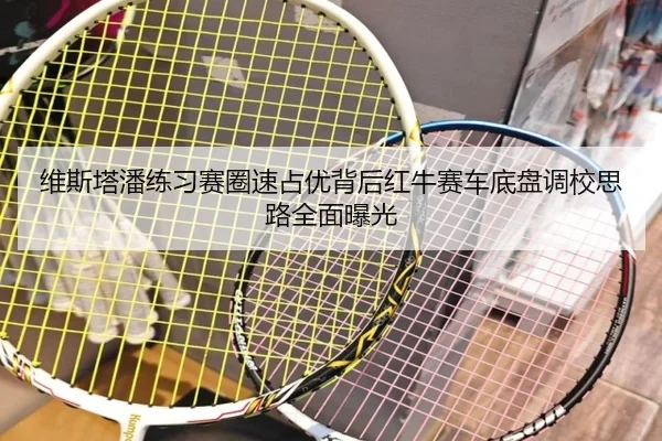 维斯塔潘练习赛圈速占优背后红牛赛车底盘调校思路全面曝光（QianyiSports）