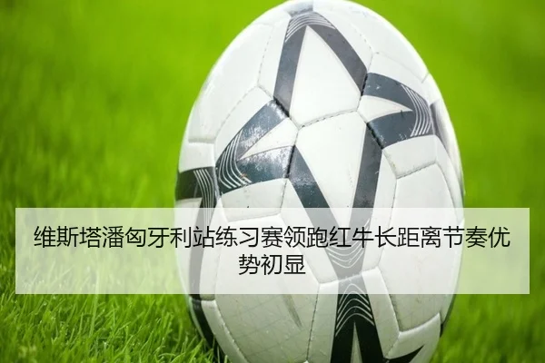 维斯塔潘匈牙利站练习赛领跑红牛长距离节奏优势初显（QianyiSports）